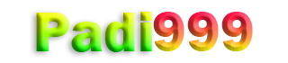 PADI999
